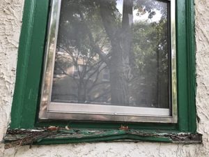 rotted window sill replace (before)