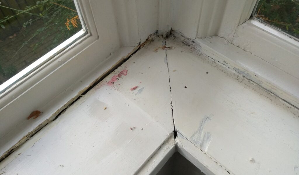 Don’t Neglect that crack on your window sill