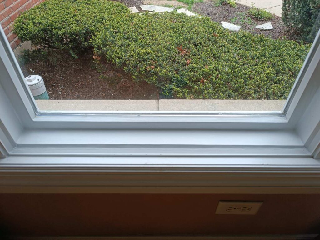 Rotten window repair portfolio